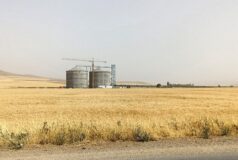 افتتاح ۲ طرح حوزه کشاورزی در شهرستان سقز