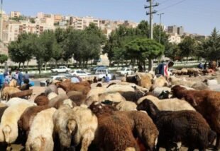 نمایش خشونت عریان به بهانه قربانی در برابر چشم کودکان/ شفیع بهرامیان*