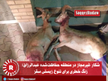 شکار غیرمجاز در منطقه حفاظت‌شده عبدالرزاق؛ زنگ خطری برای تنوع زیستی سقز